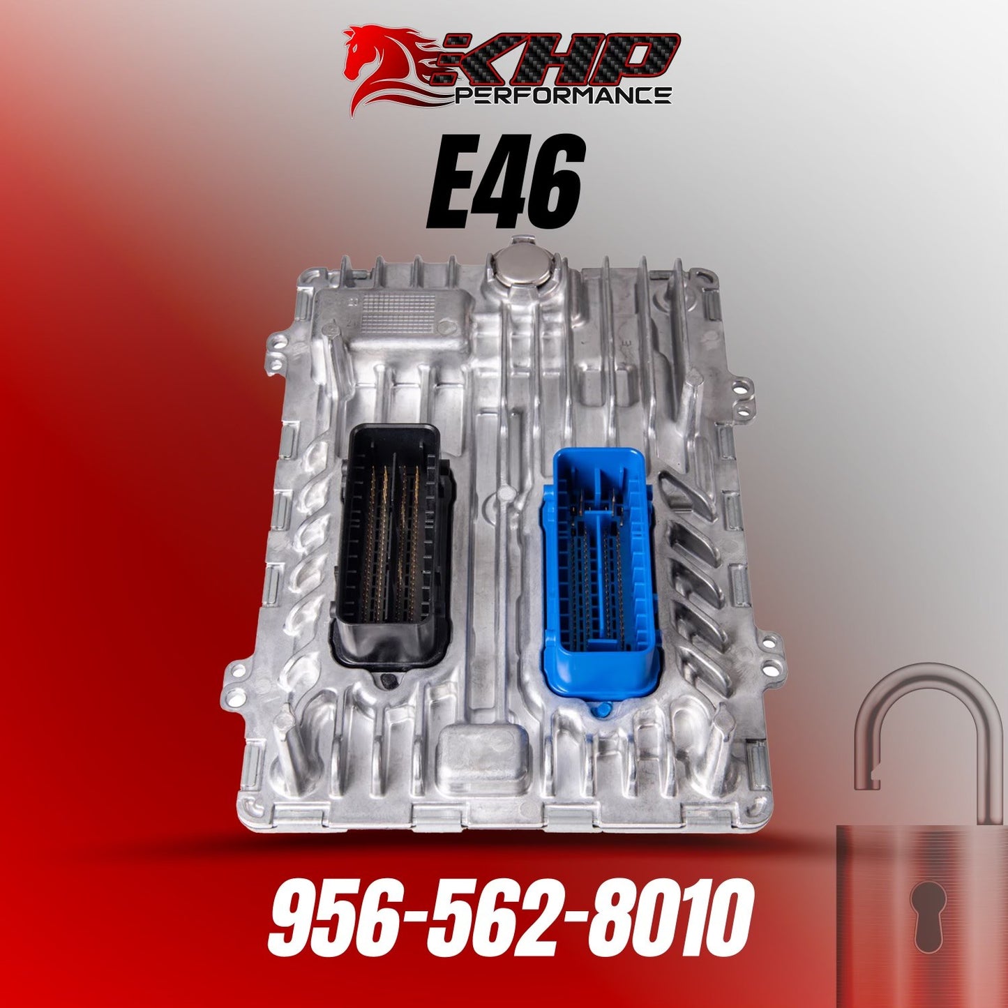 GM E46 ECM Service