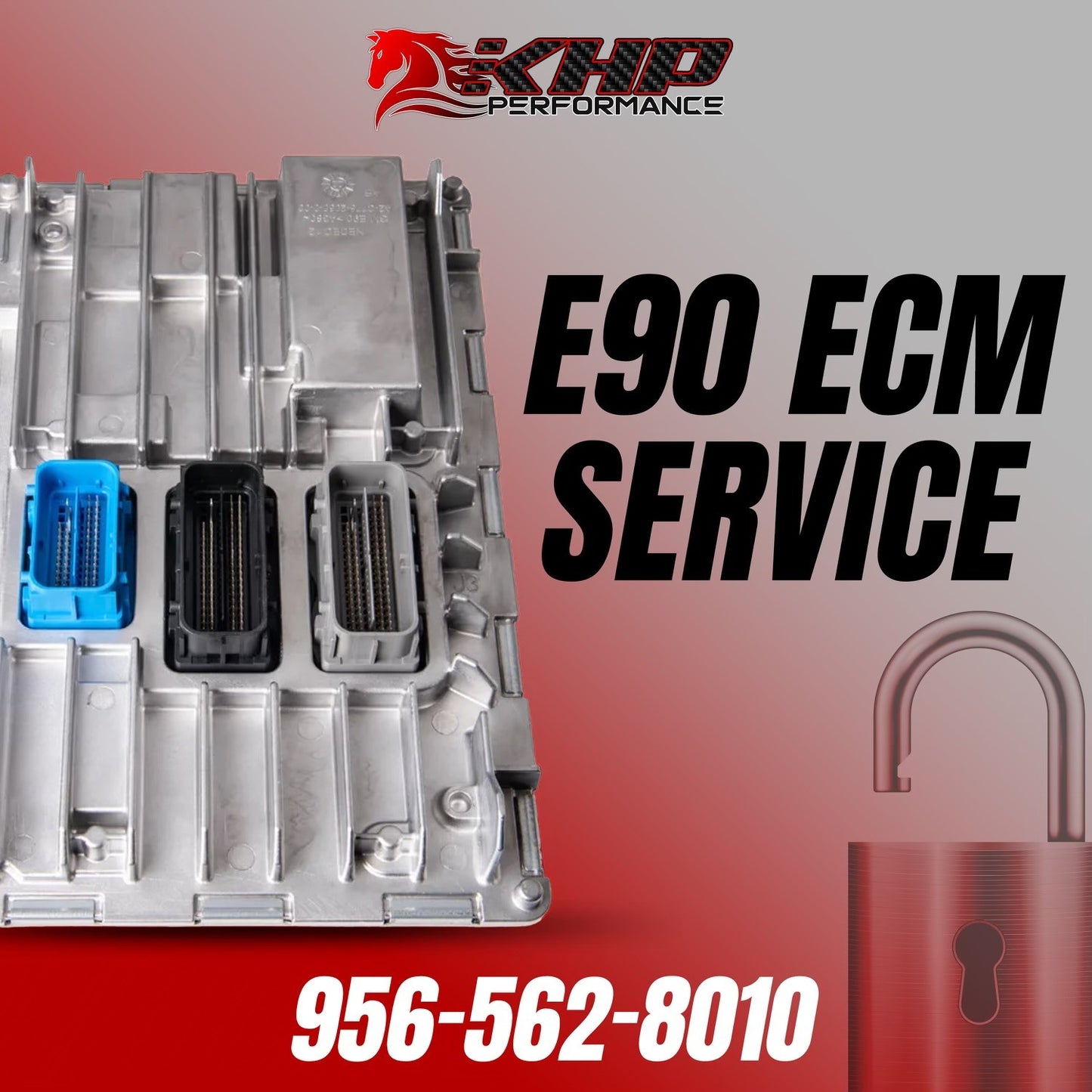 GM E90/E93 ECM Service